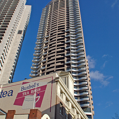 The Cove by John Bek