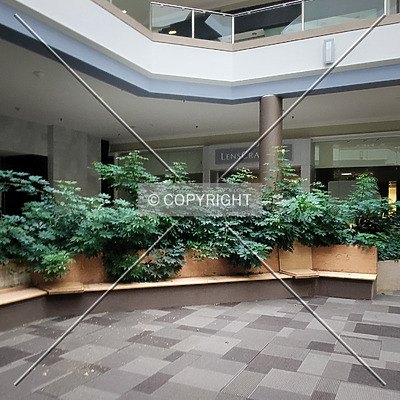 Chesterfield Mall by Ryan Hildebrand