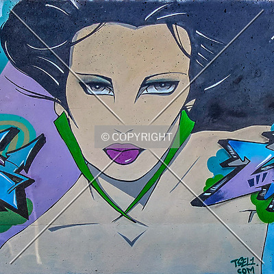 Saint Louis City Flood Wall (South Wall) by Ryan Hildebrand