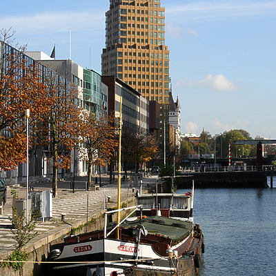 Wijnhaeve by Michiel van Dijk