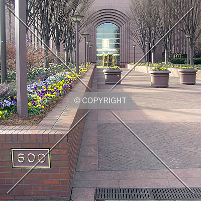 Bank of America Plaza by Chris Patriarca