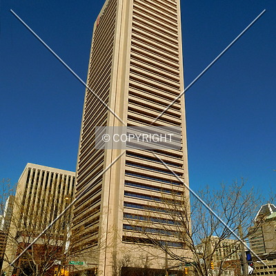 Transamerica Tower by Chris Patriarca