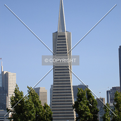 Transamerica Pyramid by Nephilim