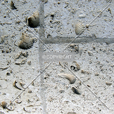 Lake Charles City Hall by Chris Patriarca