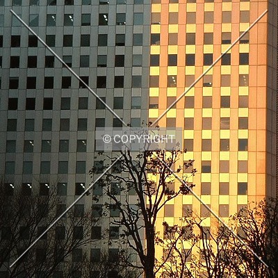 Shinjuku Sumitomo Building by Andrew Stewart