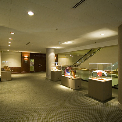 Westin Seattle North Tower by Pavel Toczynski