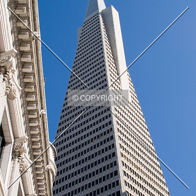 Transamerica Pyramid by Martin Bugajski