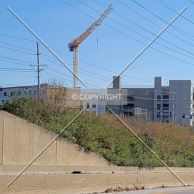 The McKenzie by Ryan Hildebrand