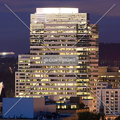 Fox Tower by Serdica