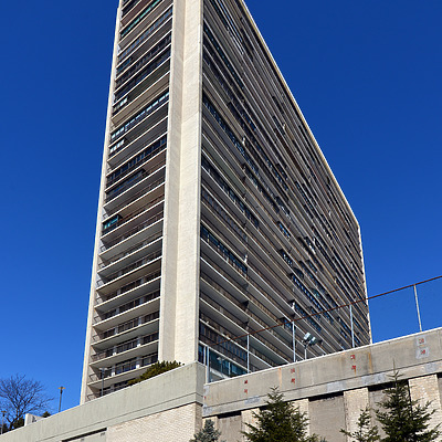 The Plaza by John W. Cahill
