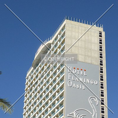 Hotel Flamingo Oasis by Nephilim