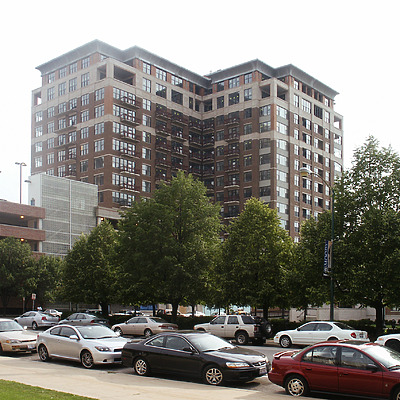 Parc Chestnut by Daniel Kieckhefer