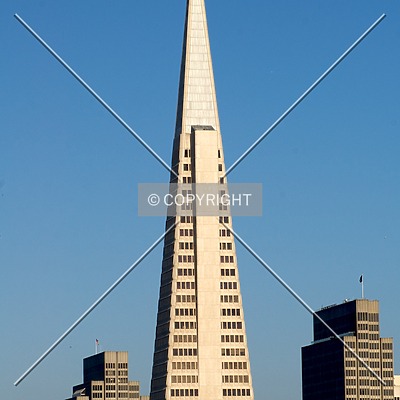 Transamerica Pyramid by Martin Bugajski