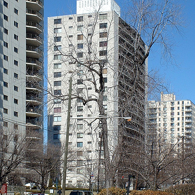 The Bristol House by John Cahill