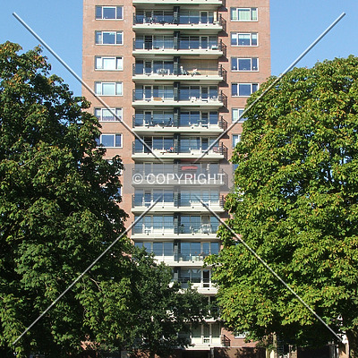 De Jeker by René Hogendijk