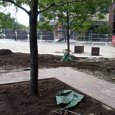 Optima Horizons by Daniel Kieckhefer