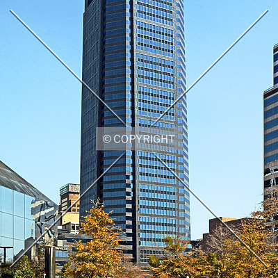 Bank of America Tower by Jorge Molina