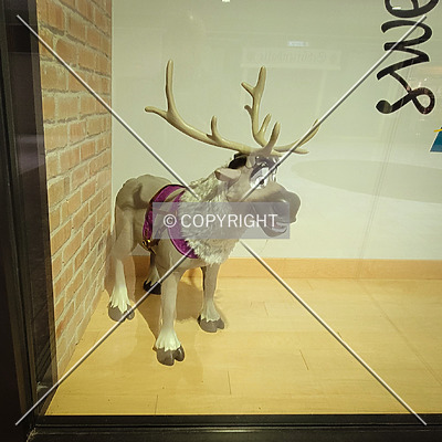 Chesterfield Mall by Ryan Hildebrand