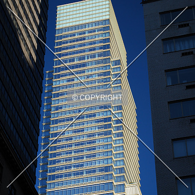 Bloomberg Tower by Royce Douglas
