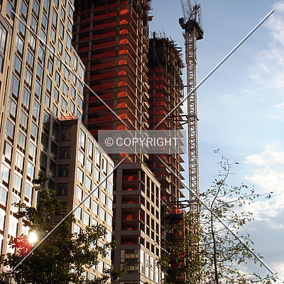 The Rushmore by Royce Douglas