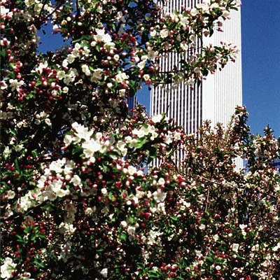 Aon Center by Tom Finnegan