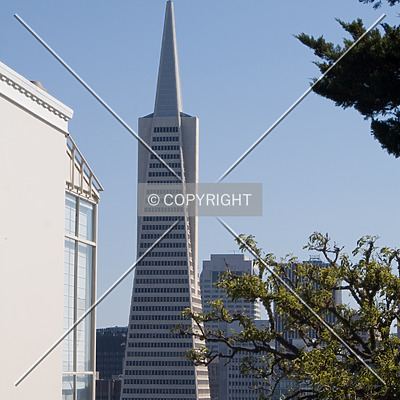 Transamerica Pyramid by Martin Bugajski