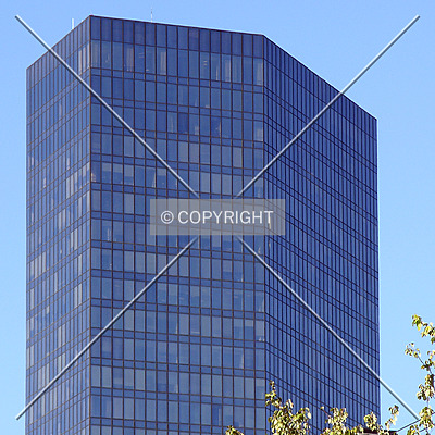 Bank of America Plaza by Chris Patriarca