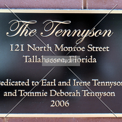 The Tennyson by Jorge Molina
