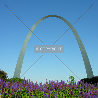 Gateway Arch by Lizzie Morrison
