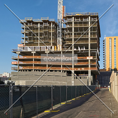 OLIV Tempe by Nephilim