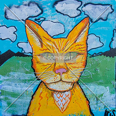 Saint Louis City Flood Wall (South Wall) by Ryan Hildebrand