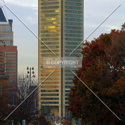 World Trade Center by Chris Patriarca