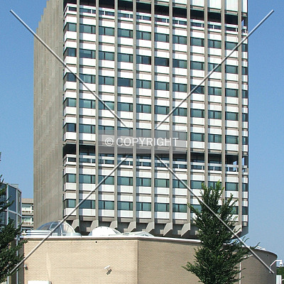 ING by René Hogendijk