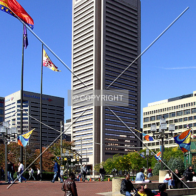 Transamerica Tower by Chris Patriarca