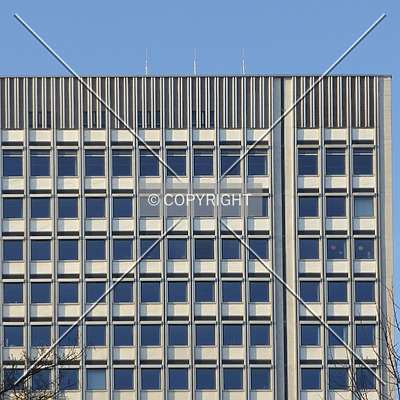 Hochhaus im Tulpenfeld by Nephilim