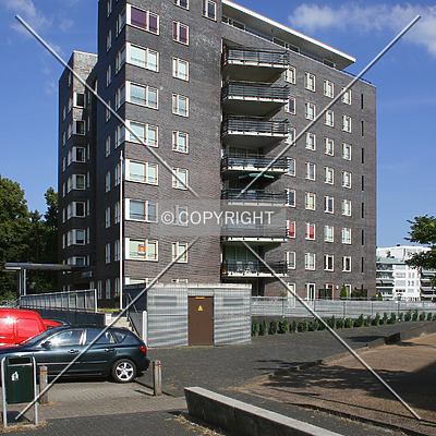 Paladijn by René Hogendijk