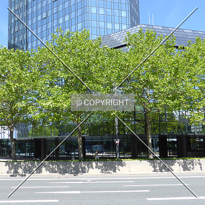 Deutsche Bank II by Nephilim