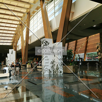 Aria Resort & Casino by Nephilim