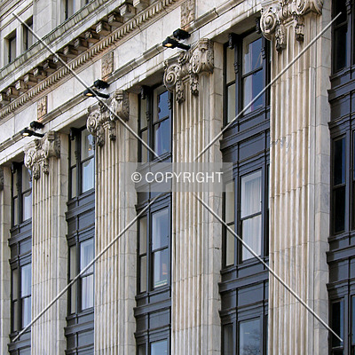 Hotel Indigo Nashville Downtown by Chris Patriarca