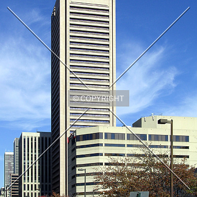 Transamerica Tower by Chris Patriarca