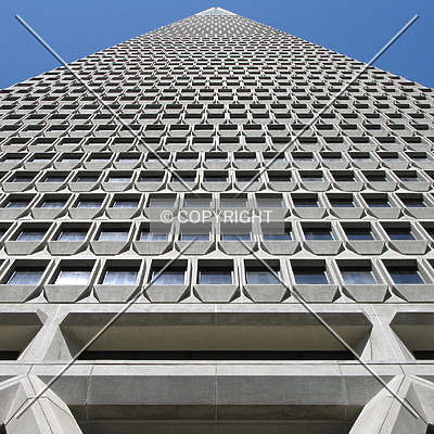 Transamerica Pyramid by Emmanuel D.