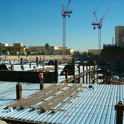 The Palazzo by Rodney Gunn