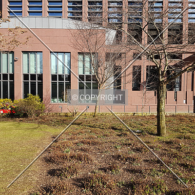 Japan Center by Nephilim