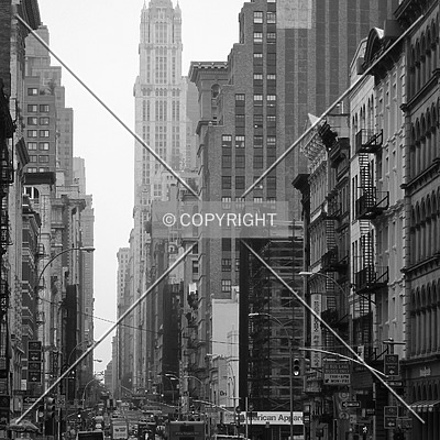 Woolworth Building by René Hogendijk