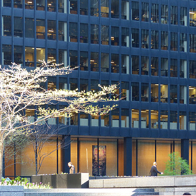 TD Tower by Nate Lindsey