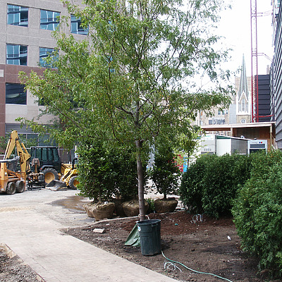 Optima Horizons by Daniel Kieckhefer