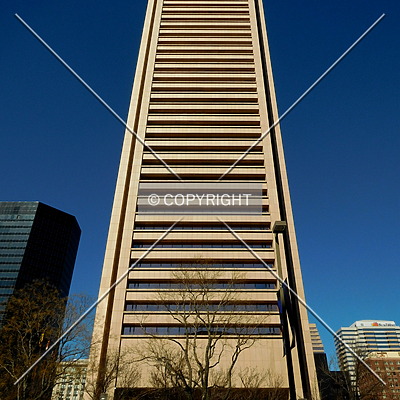 Transamerica Tower by Chris Patriarca