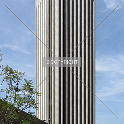 Bank of America Plaza by Emmanuel D.