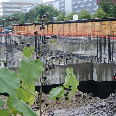 Optima Horizons by Daniel Kieckhefer