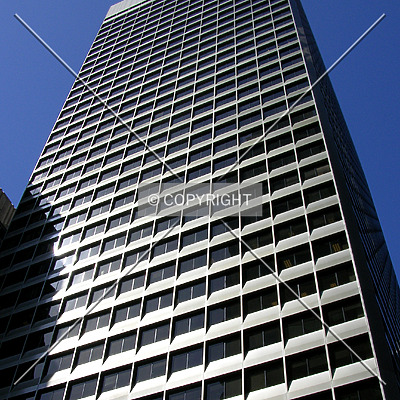 425 Market Street by Chris Patriarca